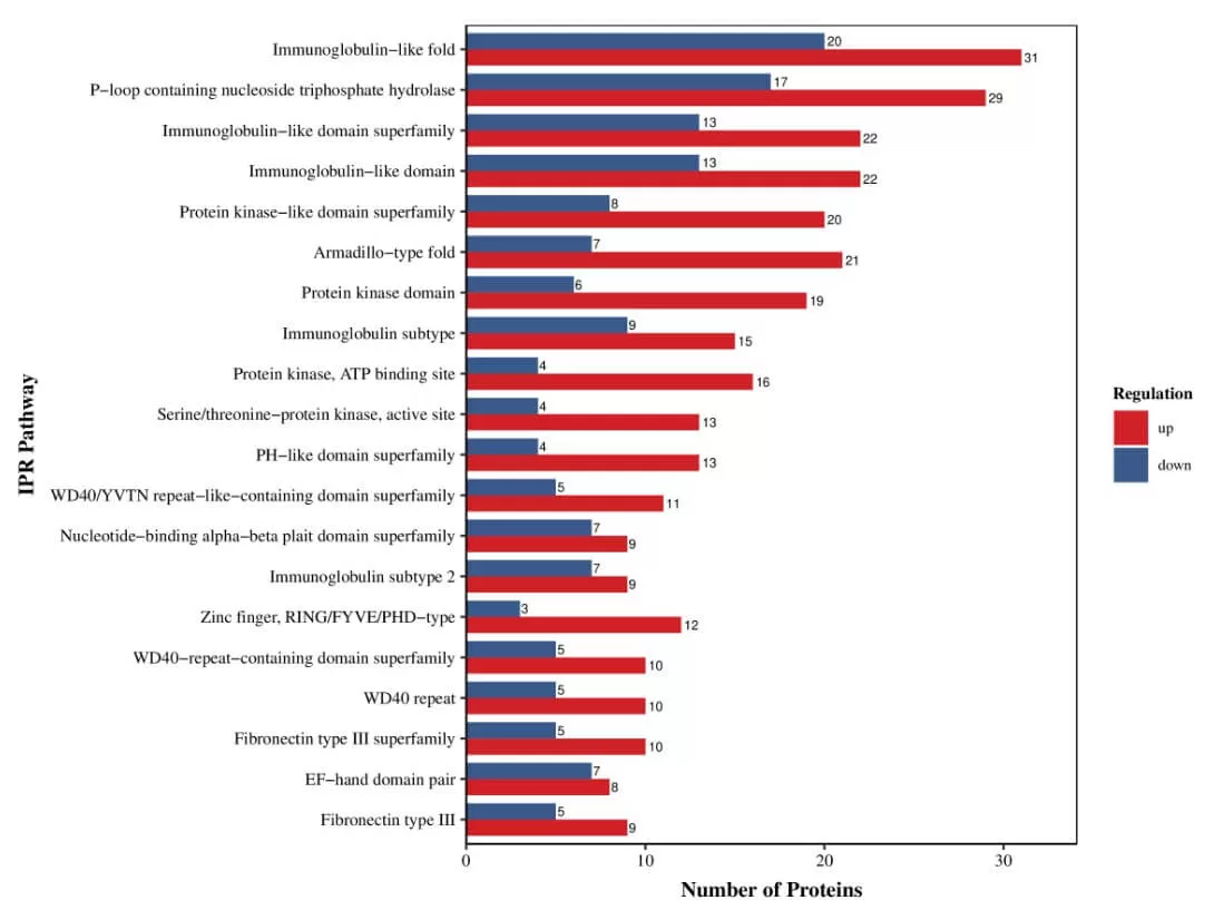 figure 10. Visualization of Domain Annotation Analysis Results for Differential Proteins